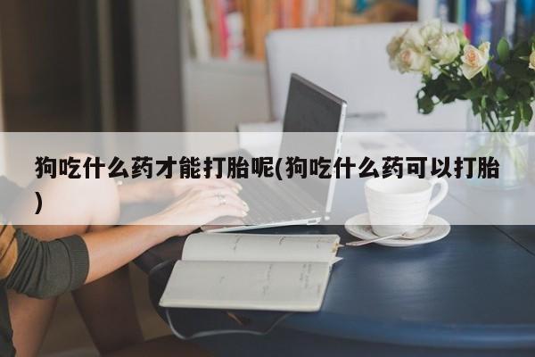 米非米索购买微信狗吃什么药才能打胎呢(狗吃什么药可以打胎)