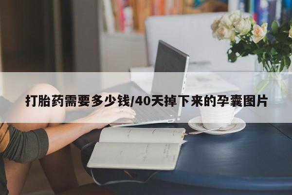 米非米索购买微信打胎药需要多少钱/40天掉下来的孕囊图片